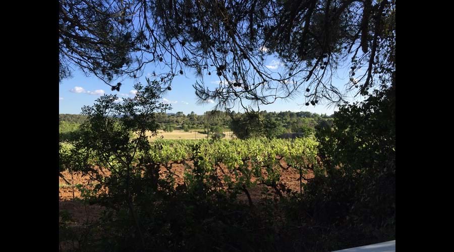 Our favorite view through the secret window in the woods