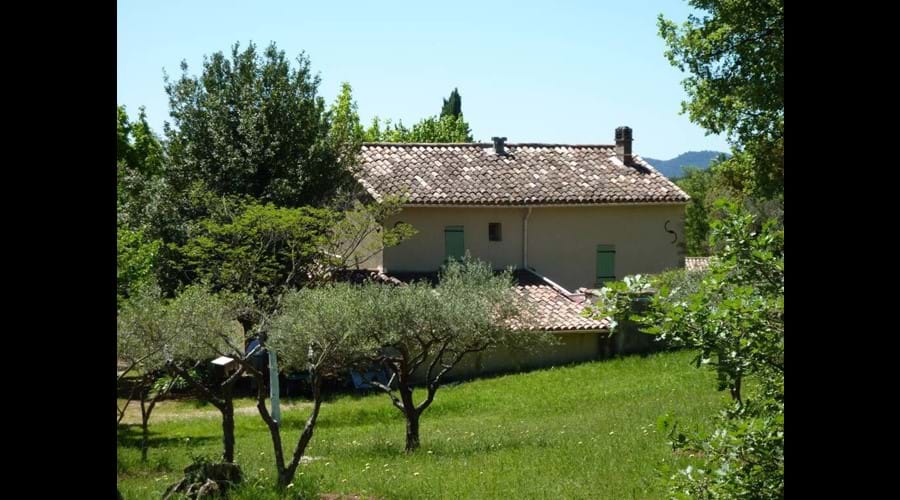 The back of the house from the olive grove