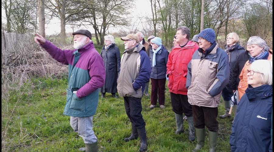 Visit to West Wood Nature Reserve near Thaxted