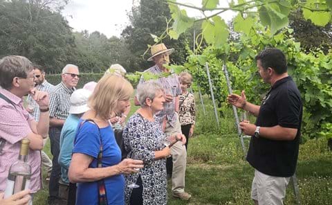 Visit to Toppersfield Vineyard on 3 August 2019
