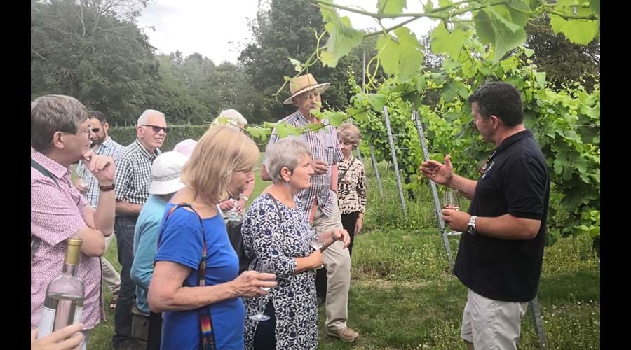 Visit to Toppersfield Vineyard on 3 August 2019