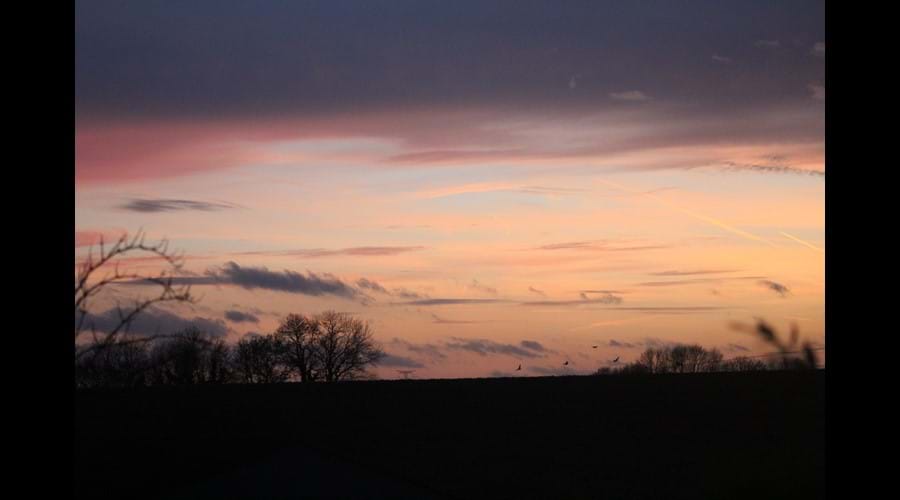 Sunset from garden