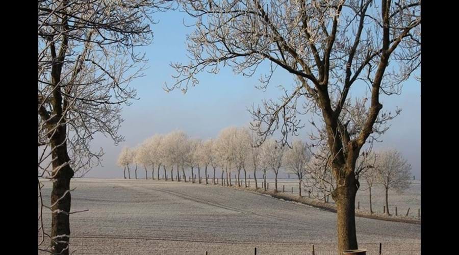 Boffles winter scene