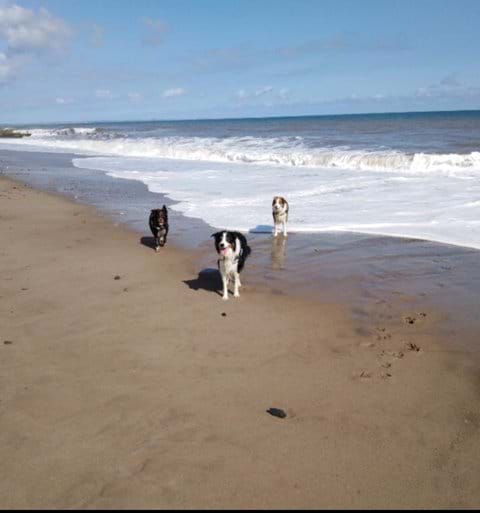 Beach just 2 minutes walk from either cottage