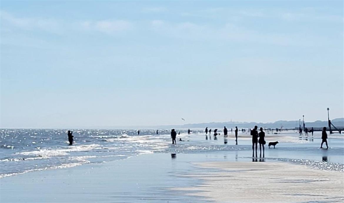 is hornsea beach dog friendly