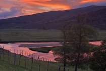 Summer evening walk from the cabin