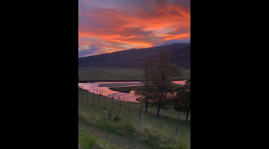 Summer evening walk from the cabin