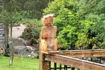 Red squirrel outside the kitchen window