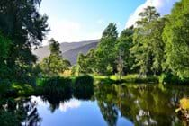 The small lake in the garden