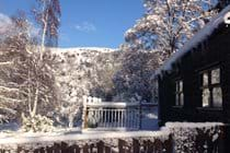 The cabin in winter