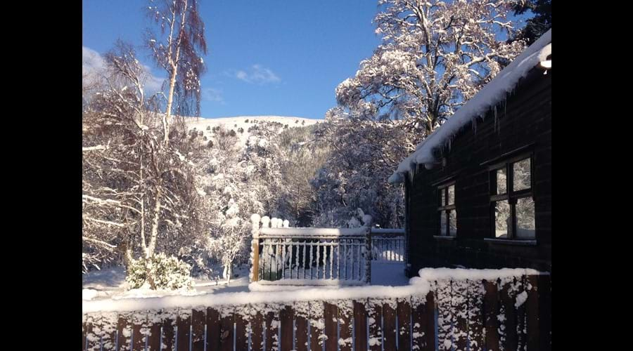 The cabin in winter