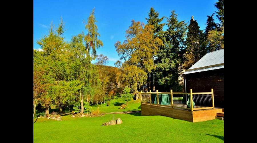 Side of cabin, decking and garden