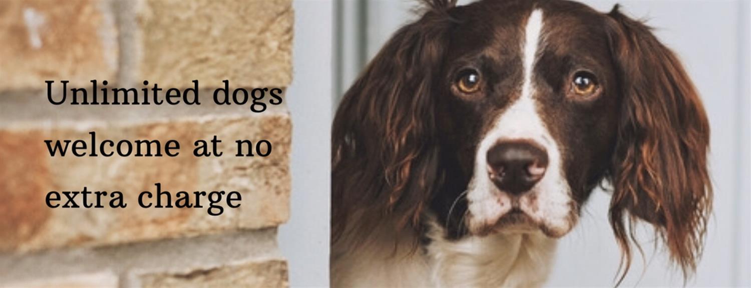 Dog Family Friendly Holiday Selfcatering Cottage In North Norfolk