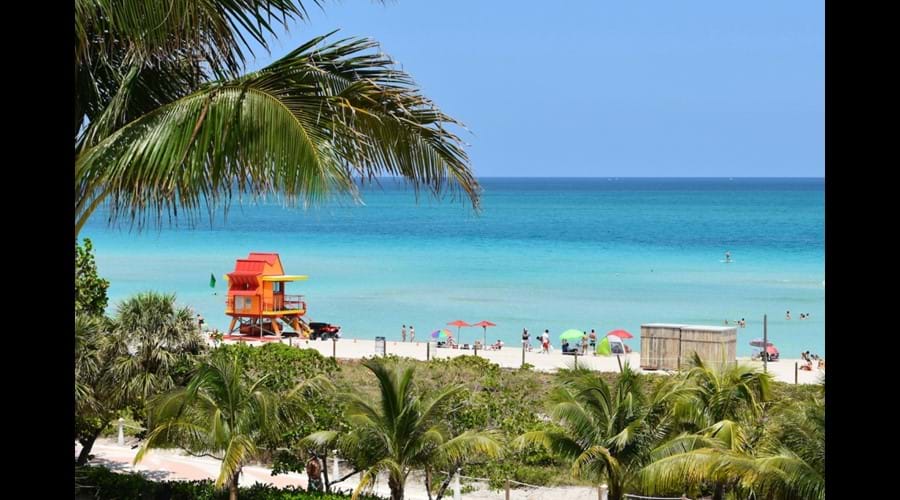 "Beach area with full bar and food service"