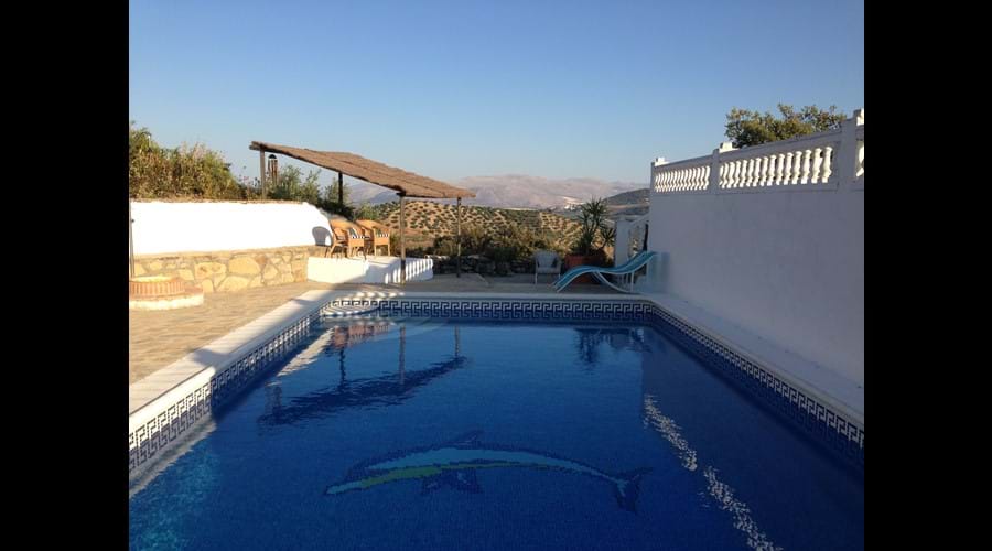 The large pool, you can use it when you like, shared with our house