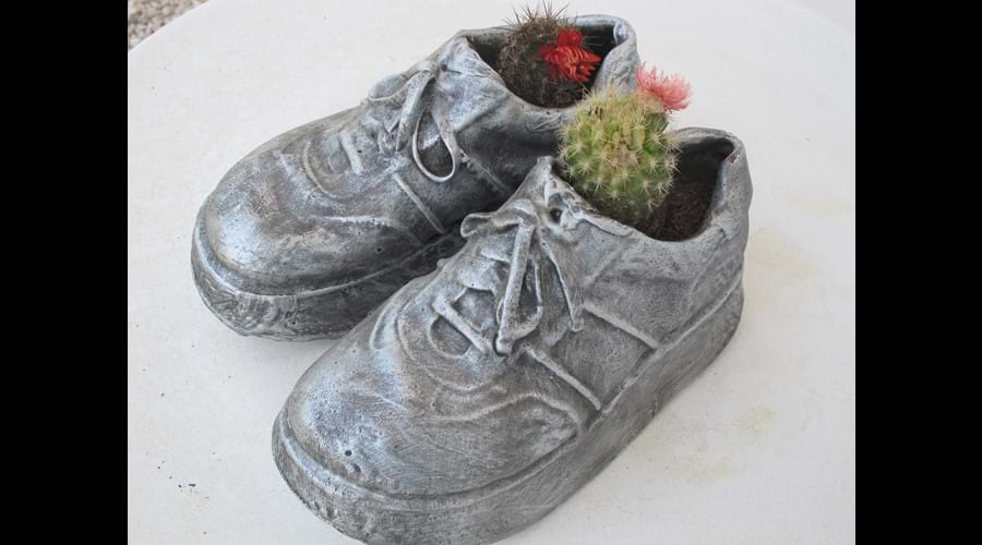 Cactus shoes