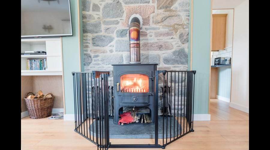 Cosy woodburning Stove