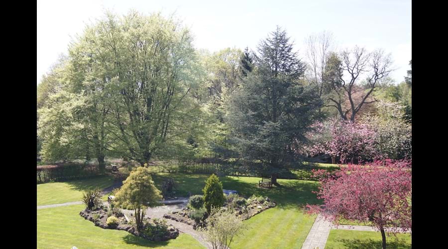 The Park from the balcony