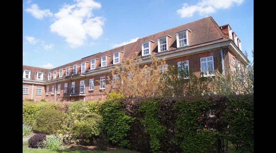 The apartment from the park
