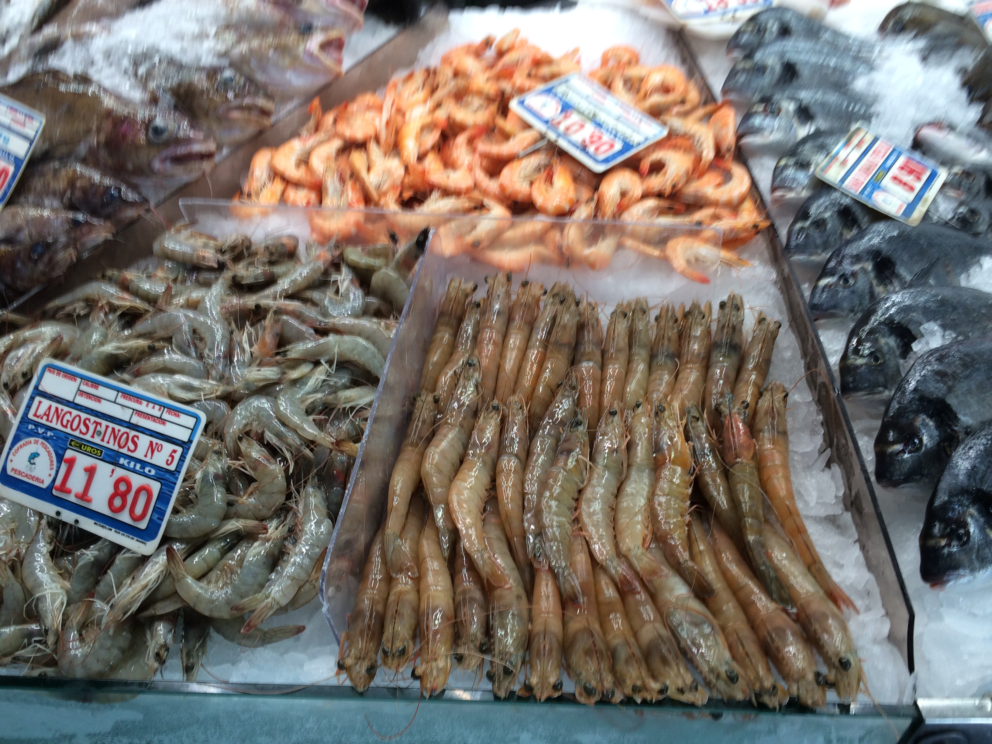 Eating In Casa Concorde