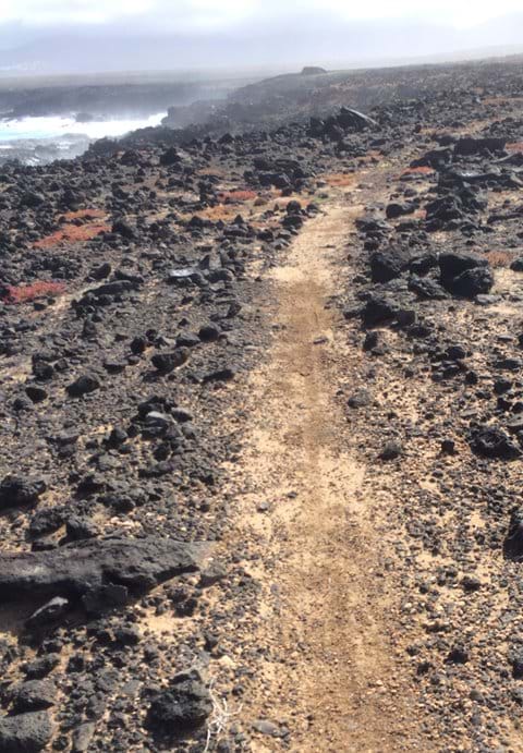 Coastal trail run through the lava rocks