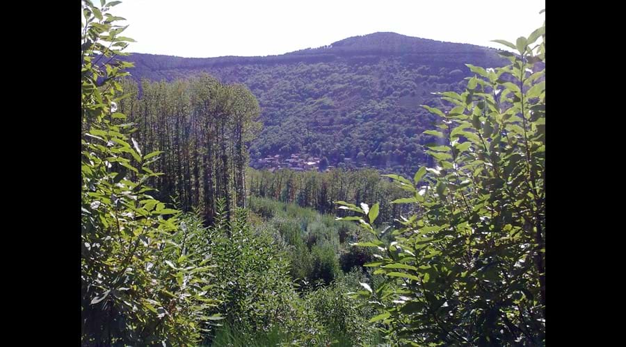 Hills around Montolieu