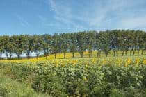 Near Limoux