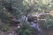 River Alzeau, Montolieu