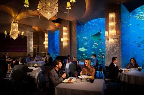 "The Lost Chambers Aquarium Restaurant The Atlantis" 