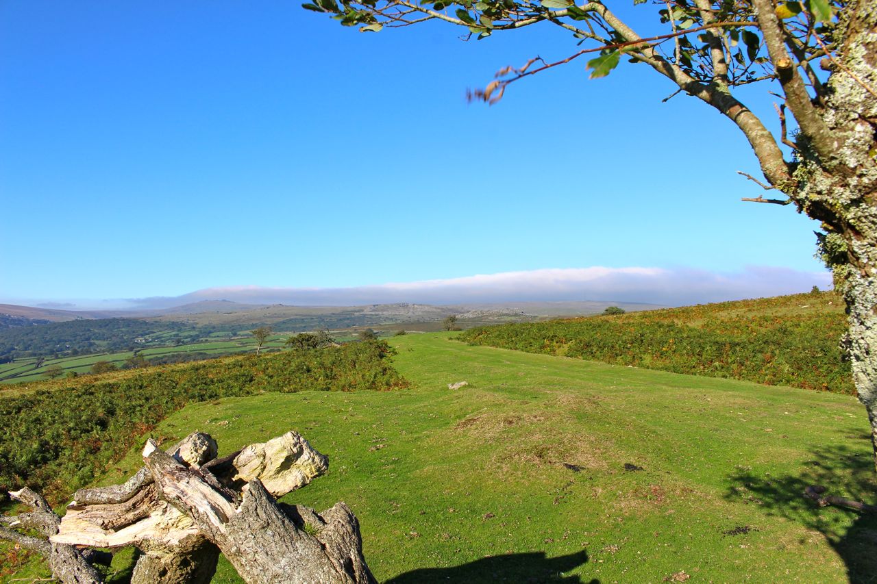 Walk or cycle along the old railway line to Princetown - just a couple of fields above us 