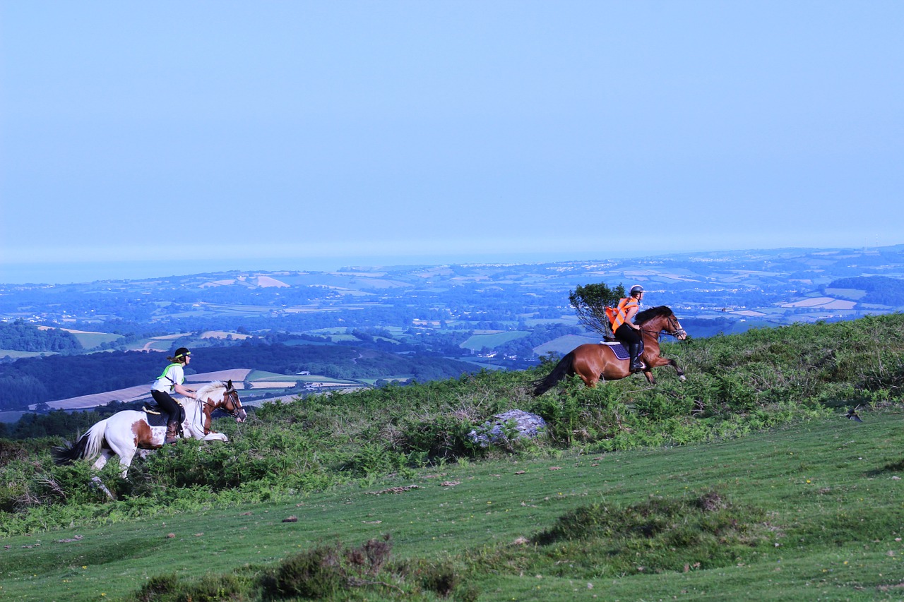 Horse Riding on Dartmoor for beginners and experienced riders