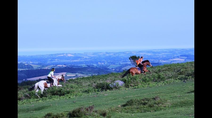 Horse Riding on Dartmoor for beginners and experienced riders