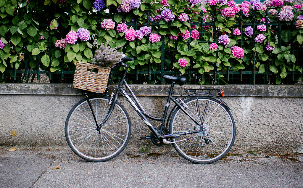 My Sweet Home biking like a French