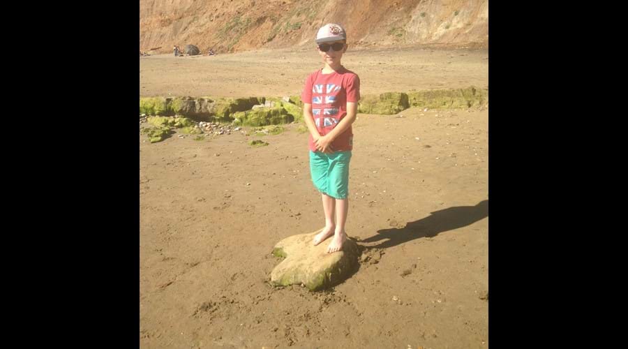 casts of three-toed dinosaur footprints found on nearby Brook Beach.