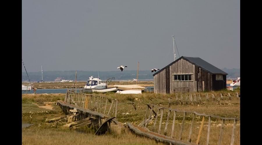 Nearby Newtown creek