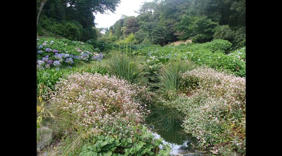 Trebah gardens