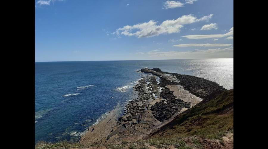 The Brigg
