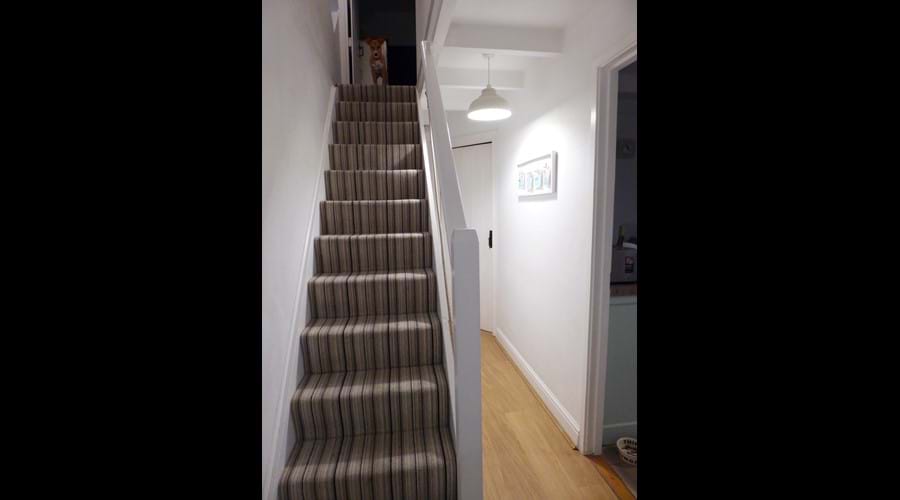 The hallway - spot the little interloper!