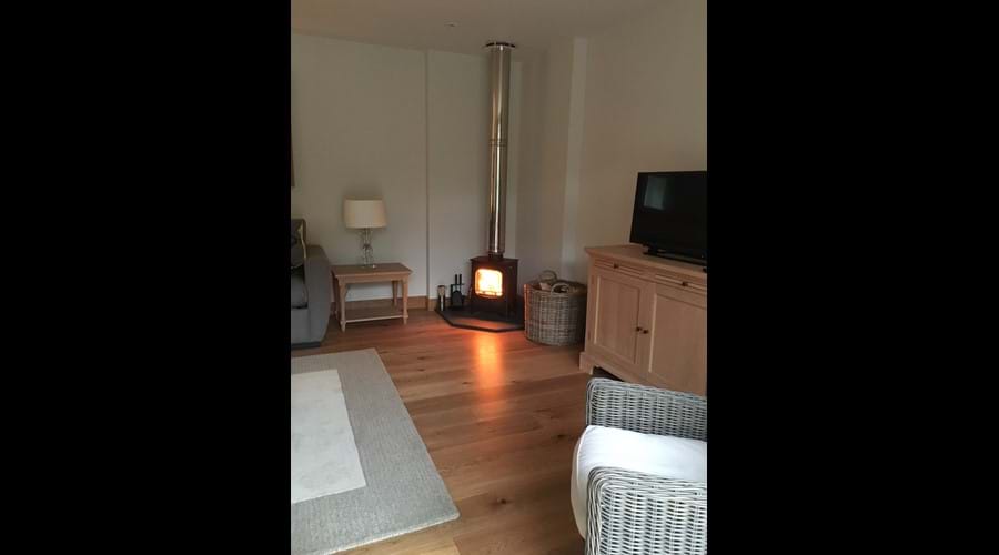Cosy wood burning stove