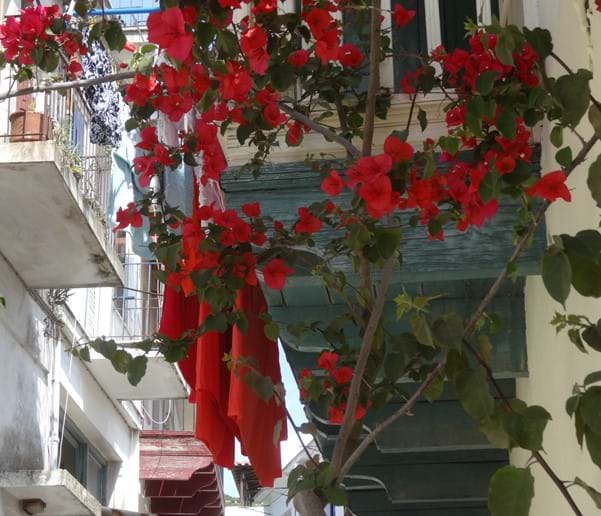 May 2015 - Somebody in Skopelos Town has bed linen to match the bougainvillea adjacent to their washing line!