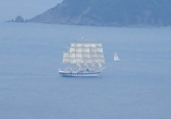 June 2016 - Every so often something like this just happens to sail past the front door!