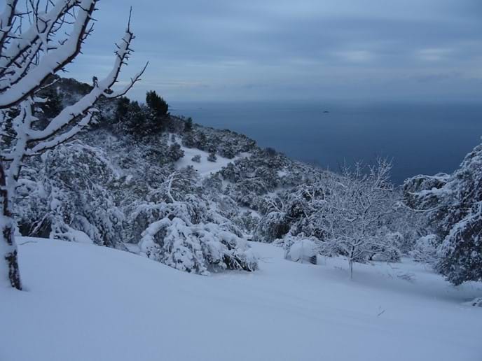 Jan 2017 - Skopelos received its heaviest snowfall in thirty years. We found it quite fun and exciting but not everybody had a good time. Lots of branches have broken off olive trees and also trees in the forest, but for a while it was so pretty!