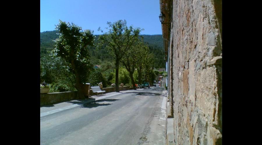 View down Avenue des Marronniers
