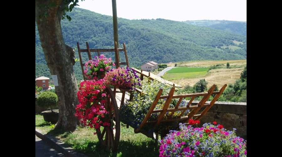 One of the many floral displays in Broquies