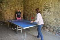 Table tennis in the games room