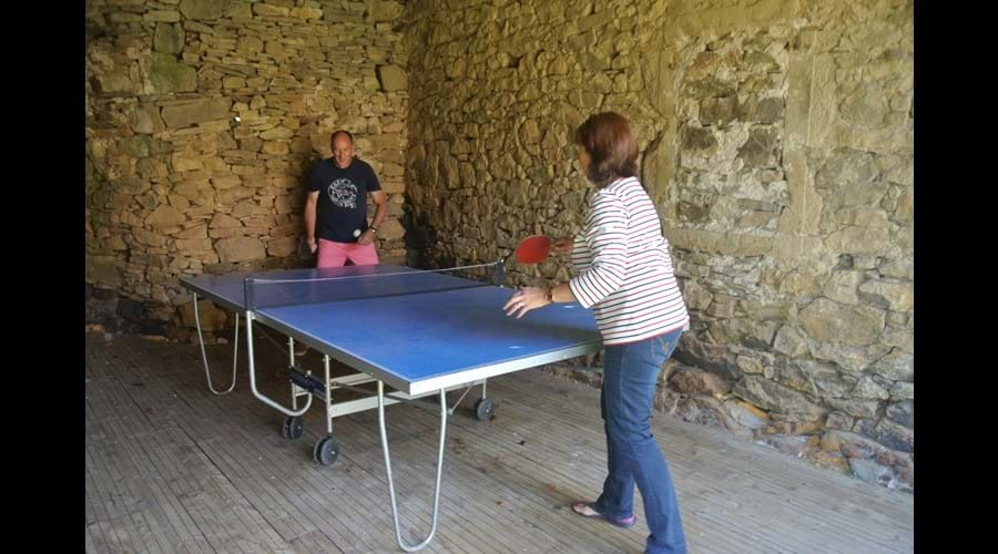 Table tennis in the games room