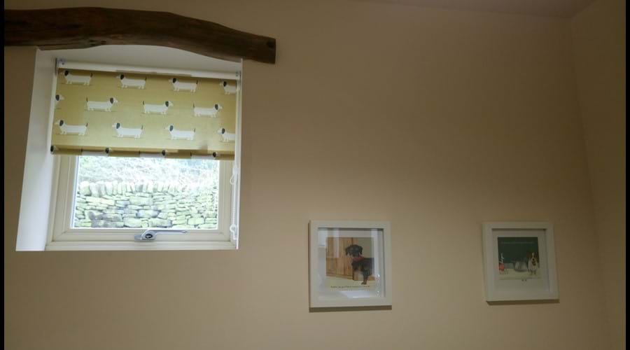 Dog Room