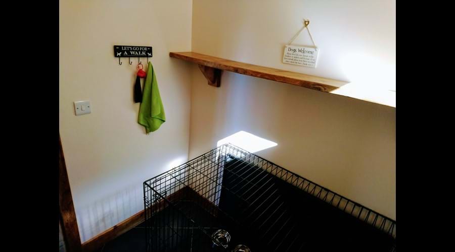 Dog Room