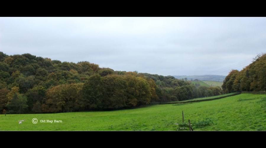 View to the right