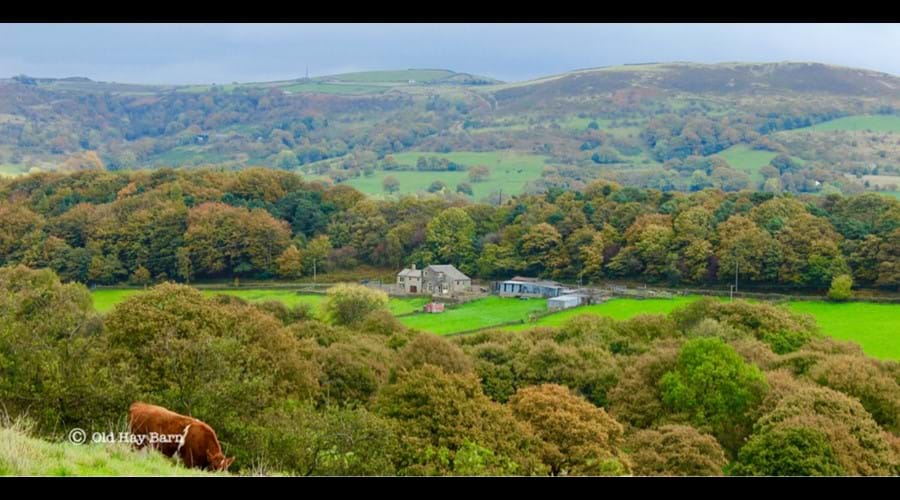 Old Hay Barn from a distance